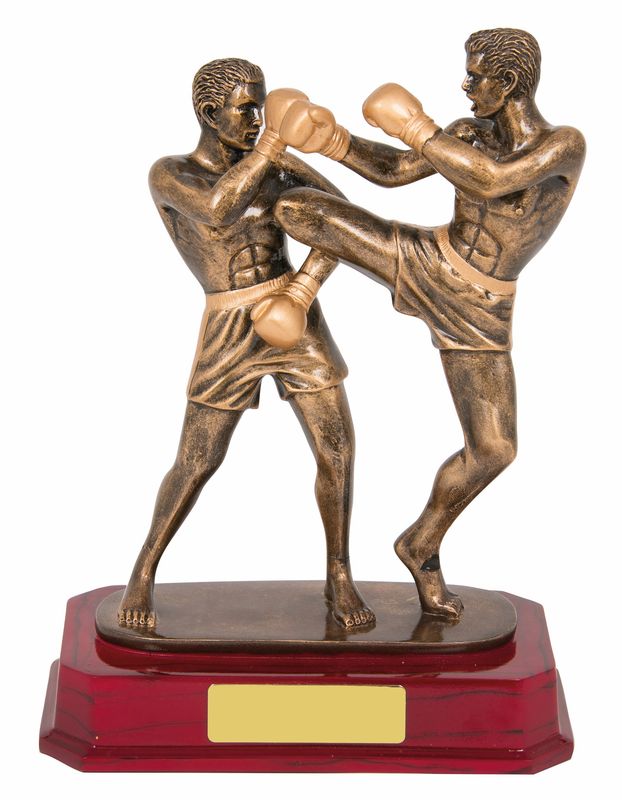 kick boxing