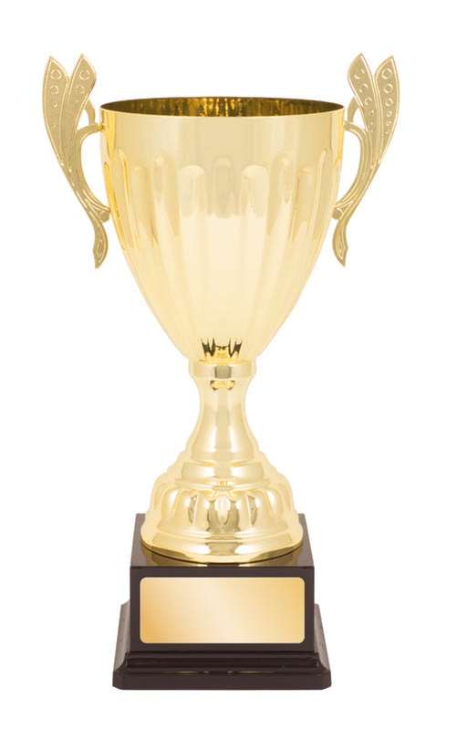 metal cup trophy