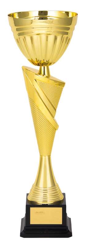 metal bowl trophy