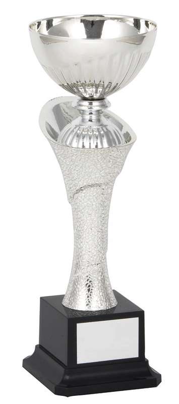 metal bowl trophy