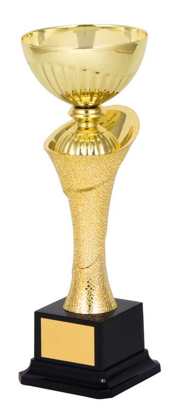 metal bowl trophy