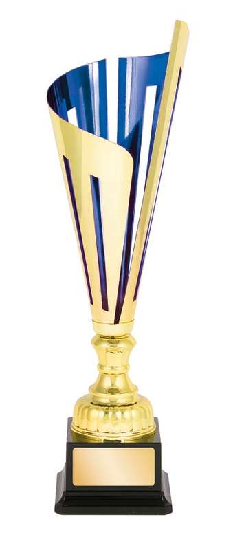 metal cup trophy