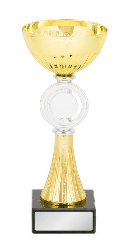 metal bowl trophy 25mm insert