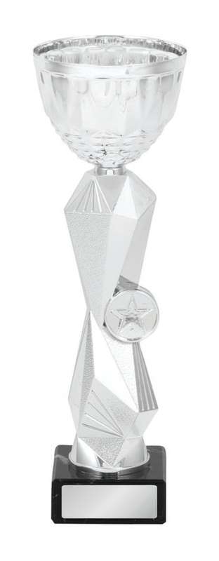 metal cup trophy