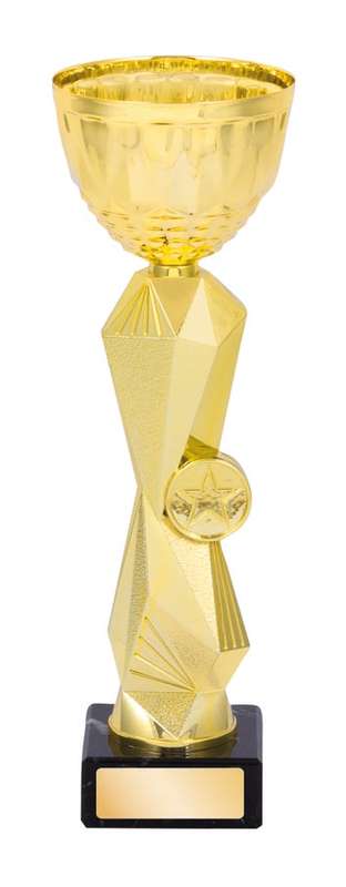 metal cup trophy