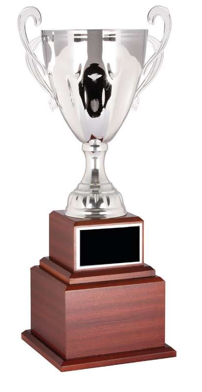 metal cup trophy