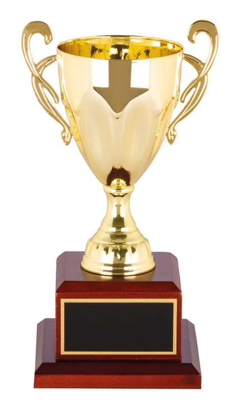 metal cup trophy