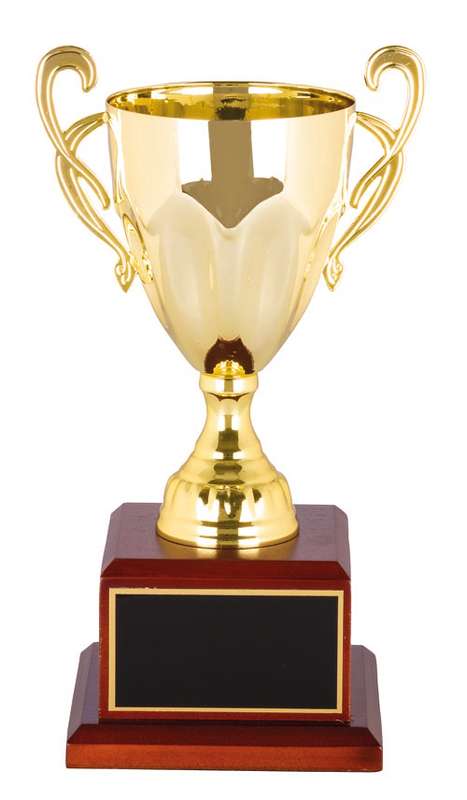 metal cup trophy