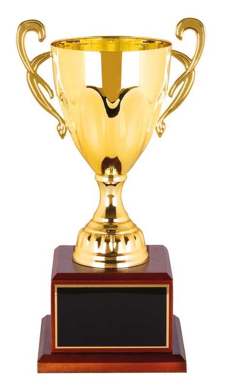 metal cup trophy