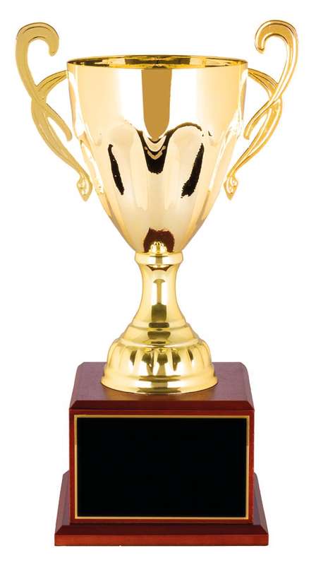 metal cup trophy