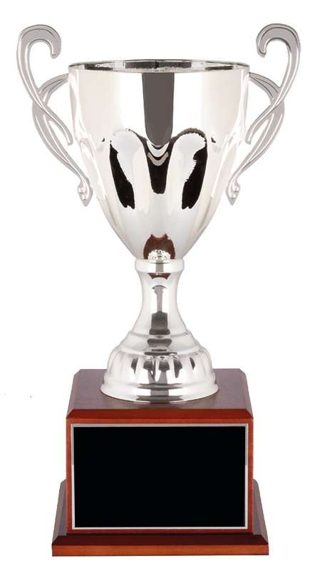 metal cup trophy