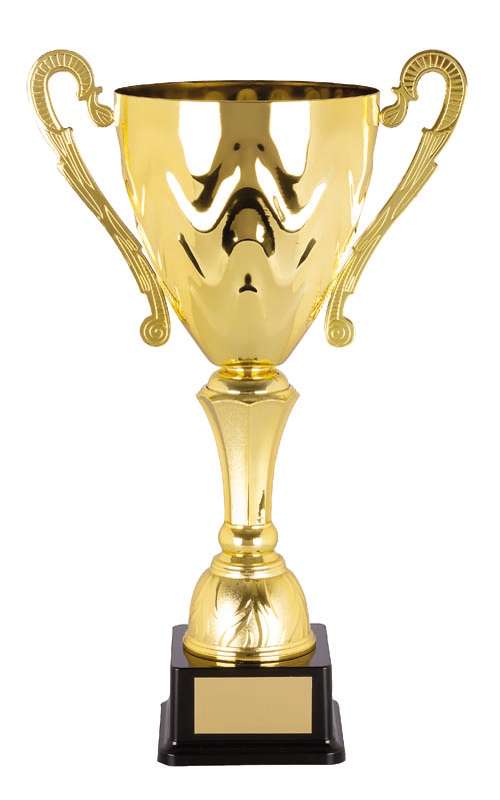 discontinued metal cup trophy