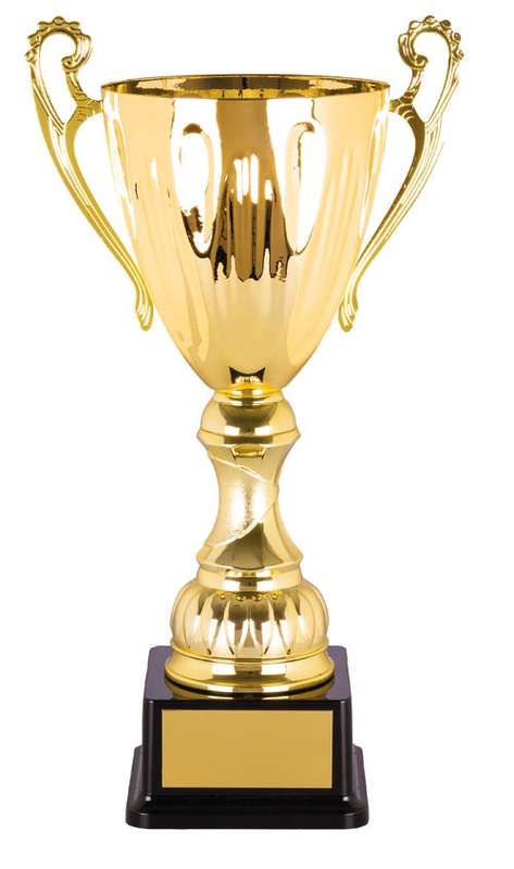 metal cup trophy