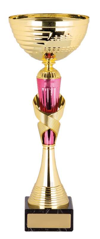 metal cup trophy
