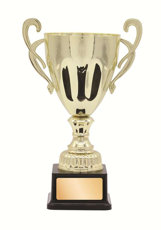 metal cup trophy