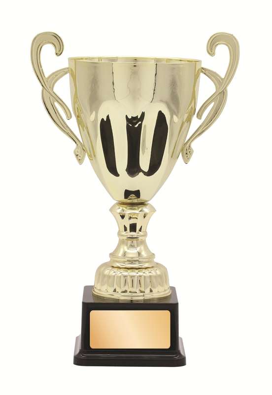 metal cup trophy