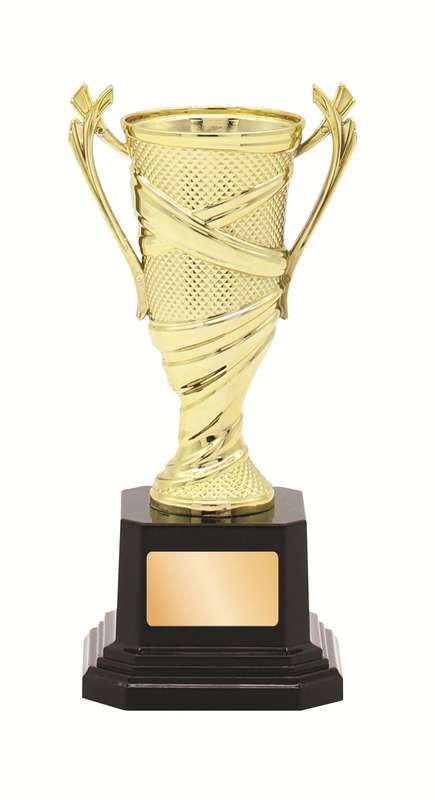 plastic cup trophy