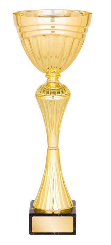 metal bowl trophy
