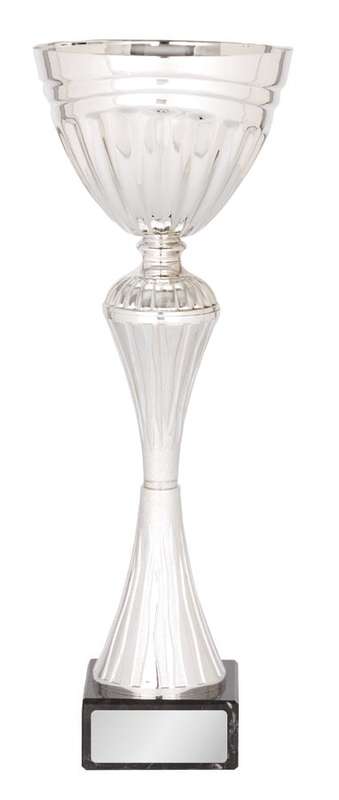 metal bowl trophy