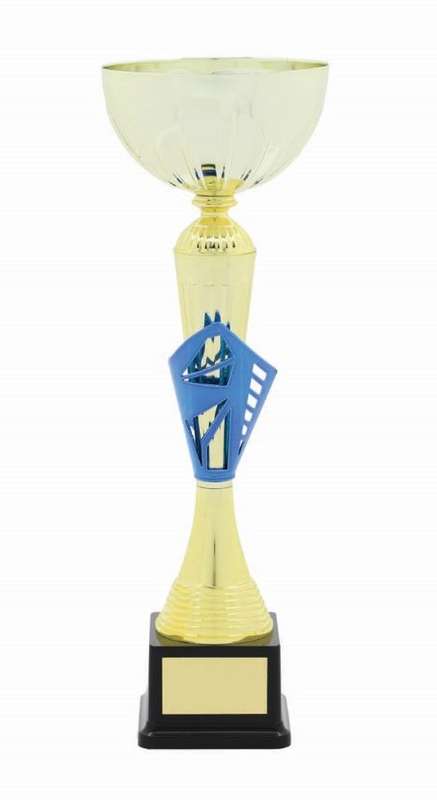 metal bowl trophy