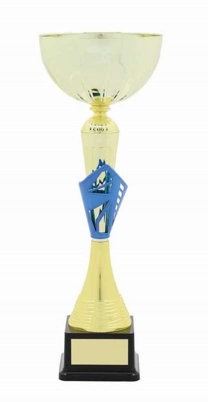 metal bowl trophy