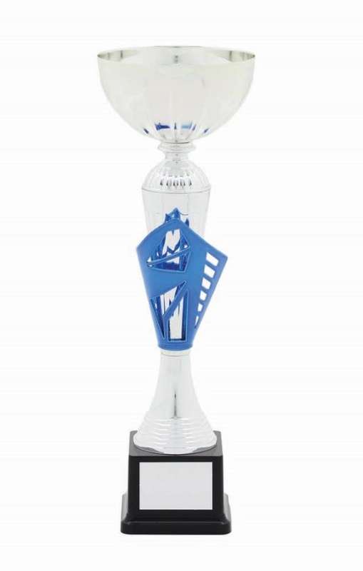 metal bowl trophy