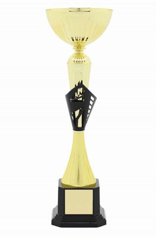 metal bowl trophy