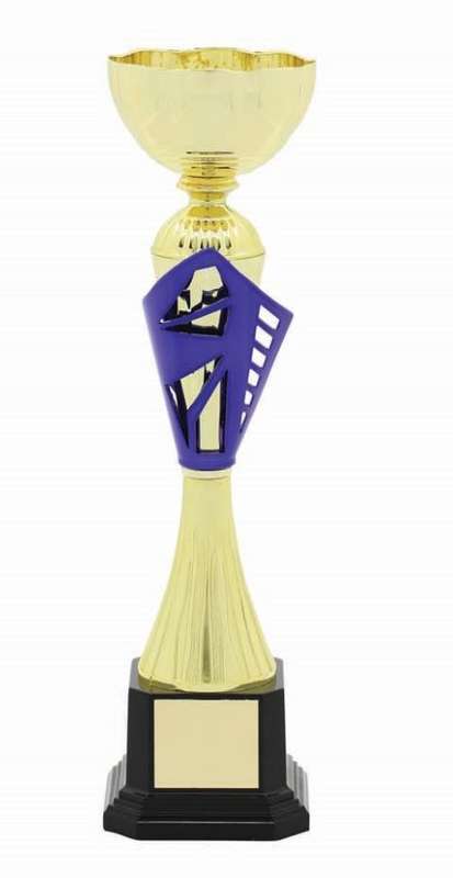 metal bowl trophy