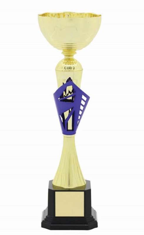 metal bowl trophy