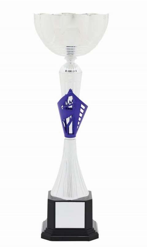 metal bowl trophy