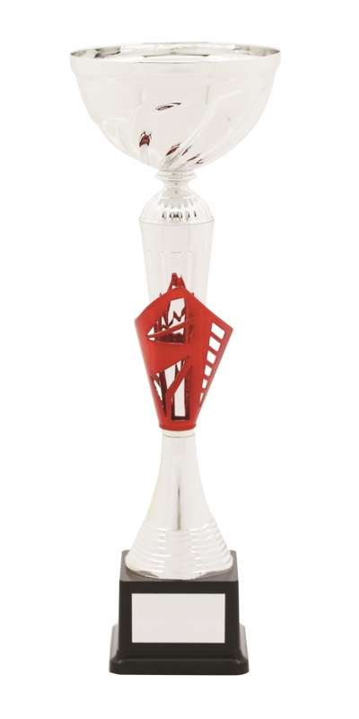 metal bowl trophy