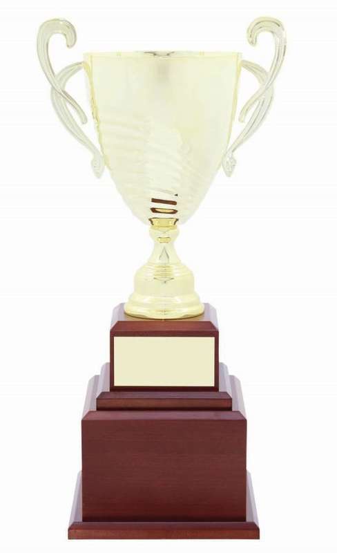 metal cup trophy