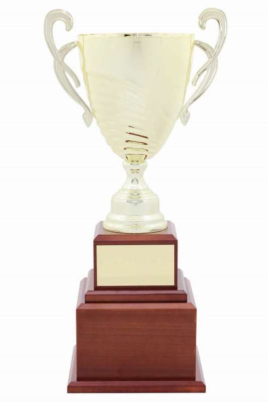 metal cup trophy