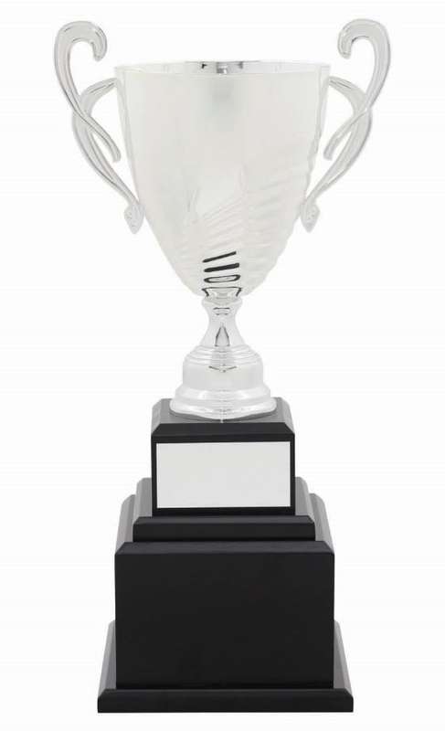 metal cup trophy