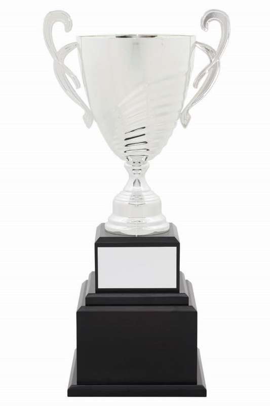 metal cup trophy