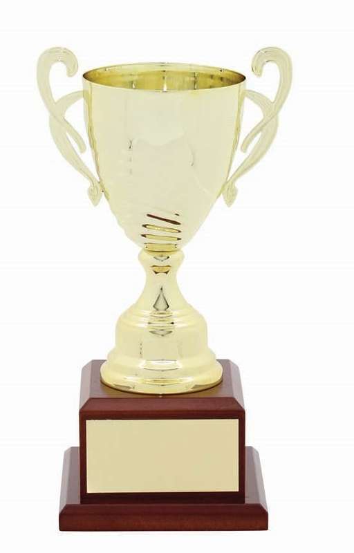 metal cup trophy