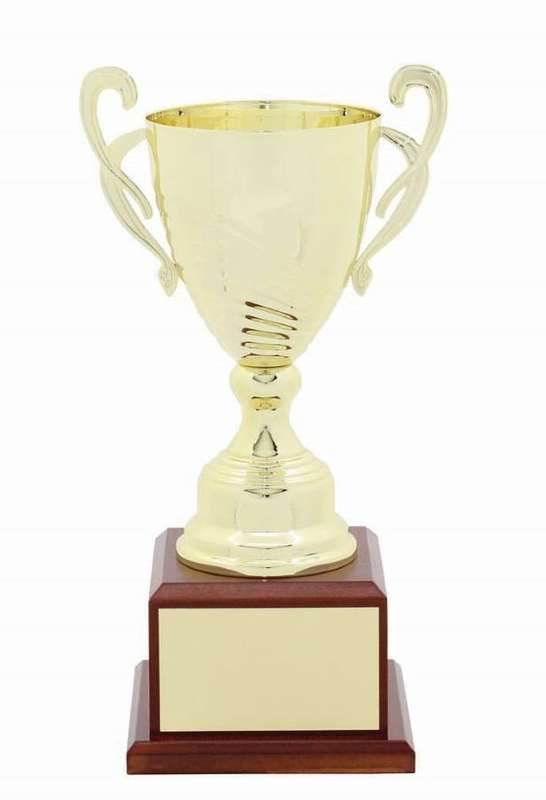 metal cup trophy