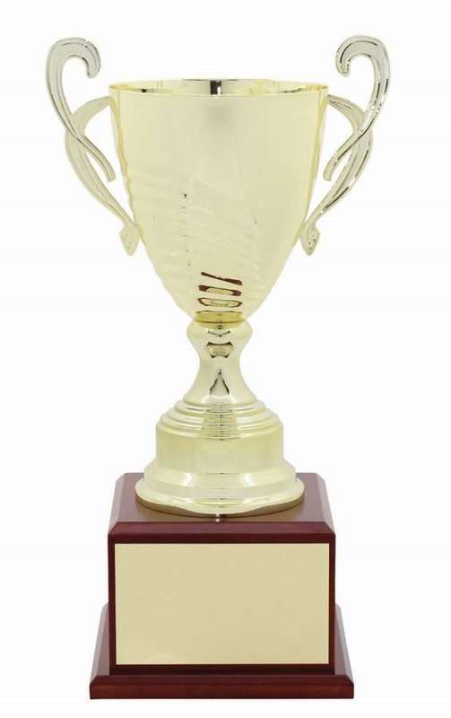 metal cup trophy