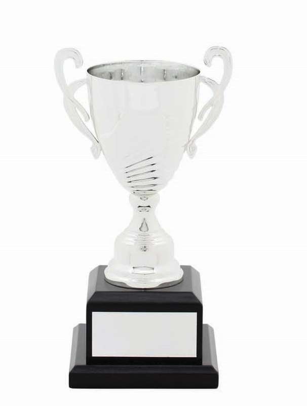 metal cup trophy