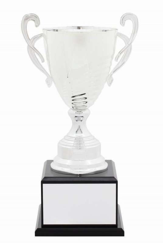 metal cup trophy