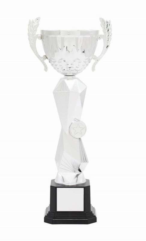 metal cup trophy