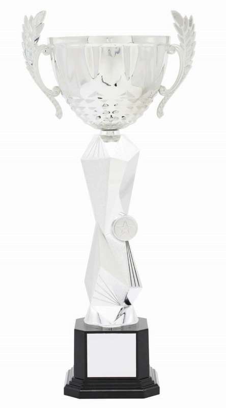 metal cup trophy