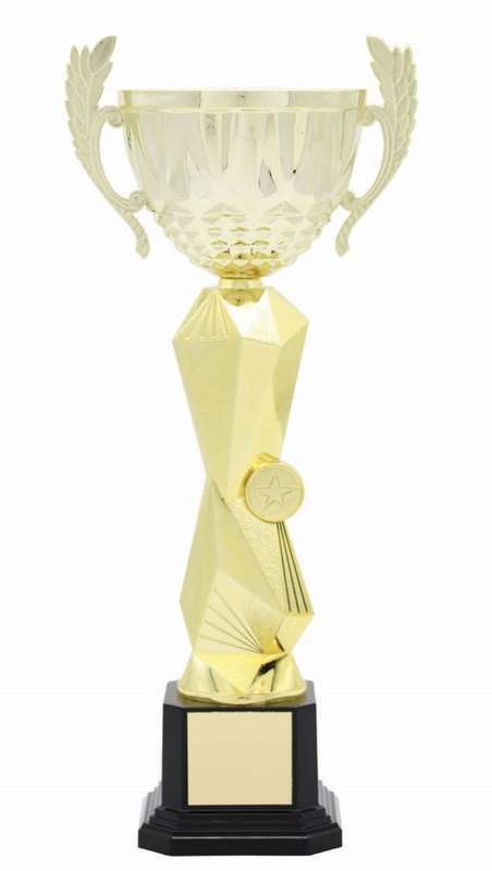 metal cup trophy
