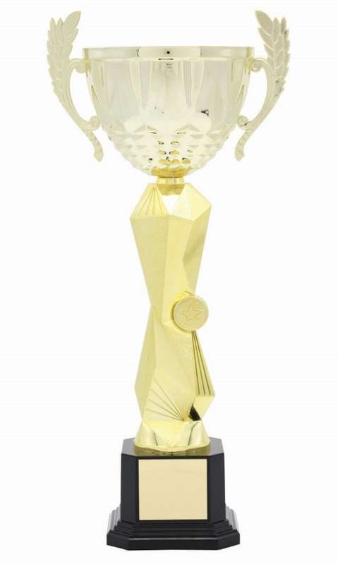 metal cup trophy