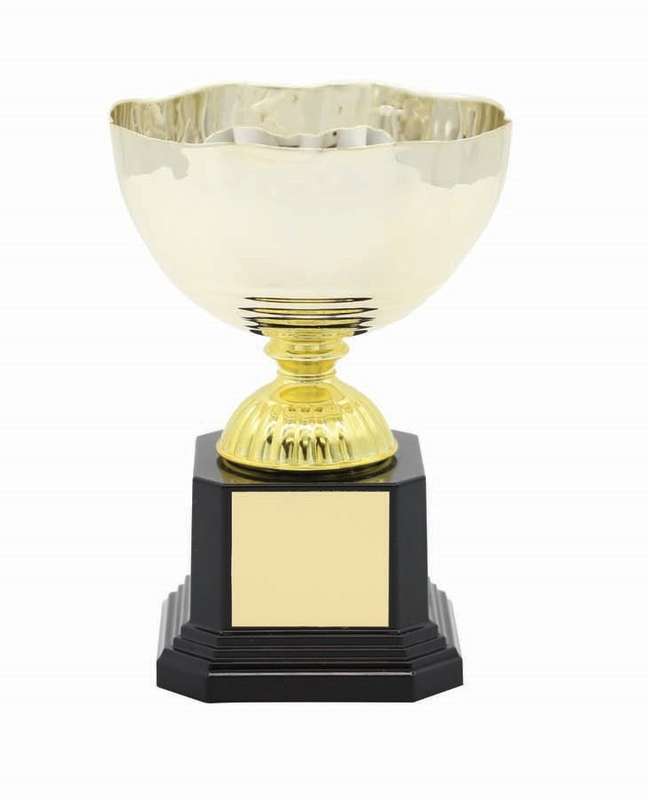metal cup trophy