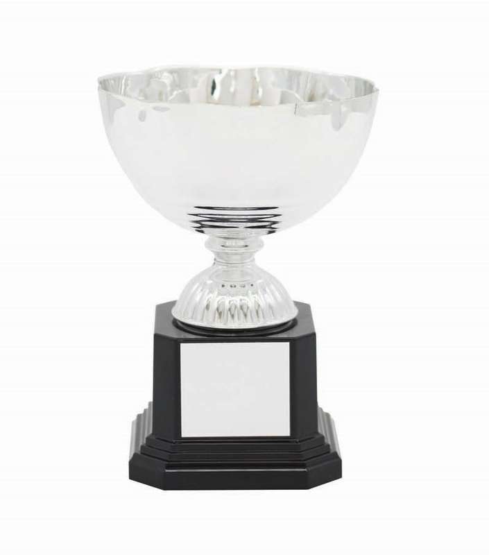 metal cup trophy