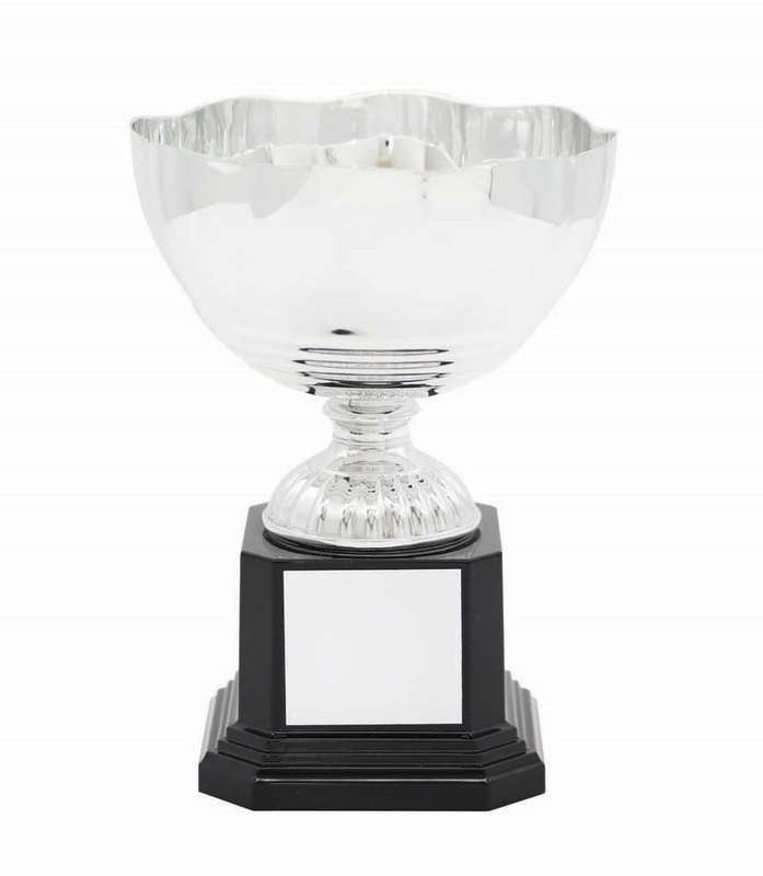 metal cup trophy