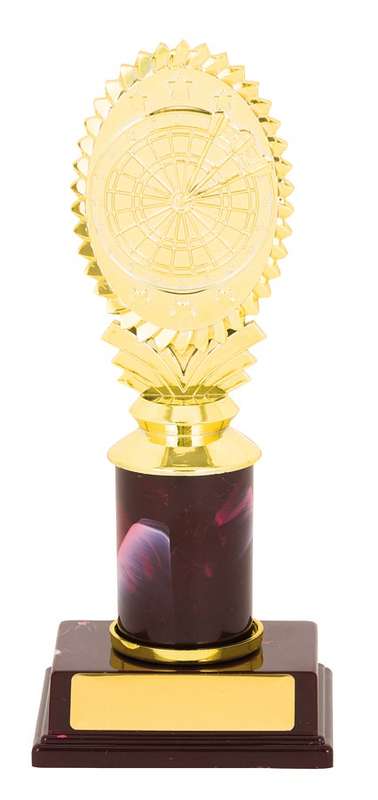 Darts Trophy