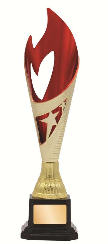 Plastic Cup