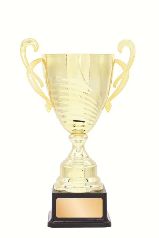 DISCONTINUED - Metal Cup Trophy